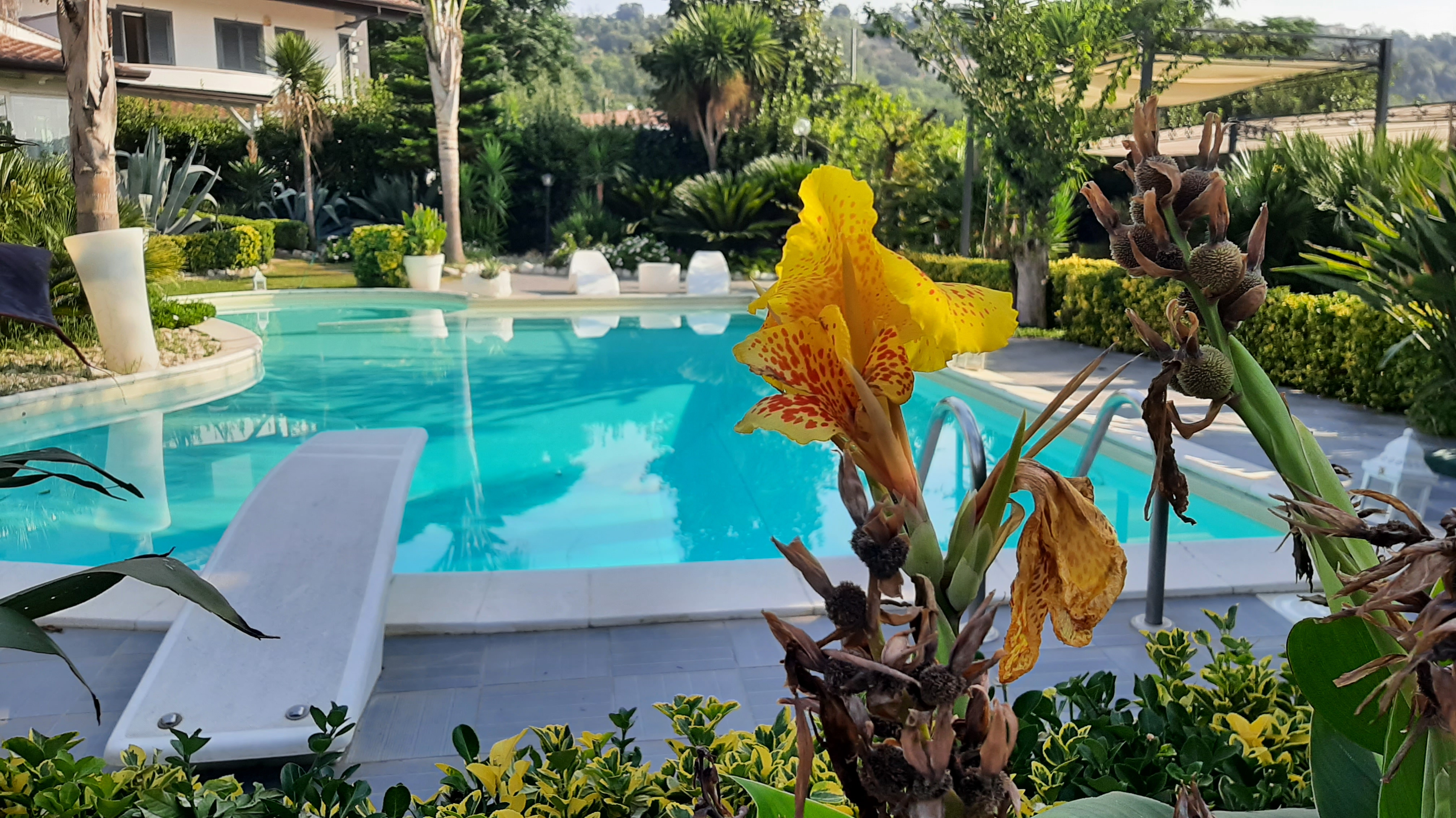 Villa-Altea-esterno-piscina-fiori